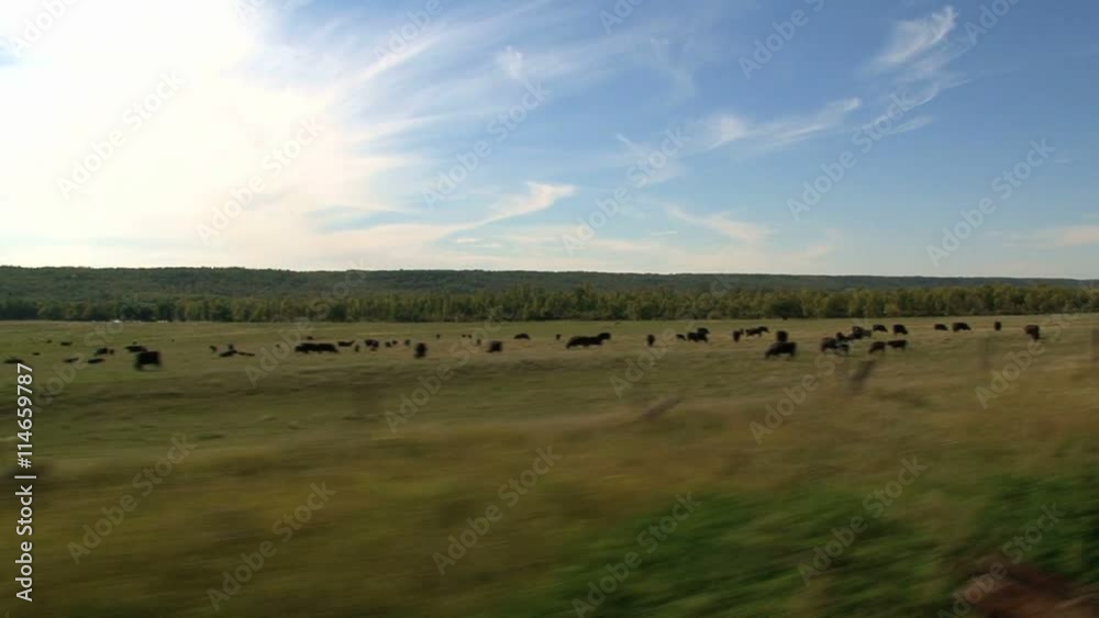 View from a train going from Toronto to Vancouver Canada View from a train going from Toronto to Vancouver Canada