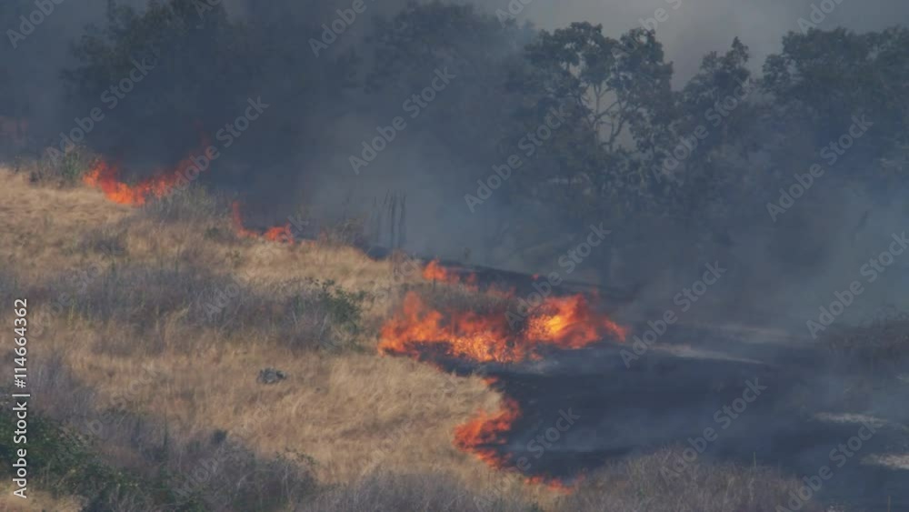 Dry grass blazes up at the edge of charred ground on a smoky hillside Dry grass blazes up at the edge of charred ground on a smoky hillside