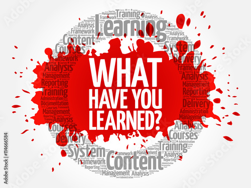 What Have You Learned? circle word cloud, business concept