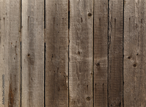 Wallpaper Mural dark gray wood background: fence made of planks Torontodigital.ca