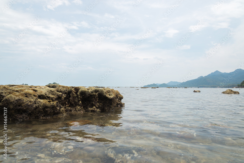 Coral stone in water on sea sand