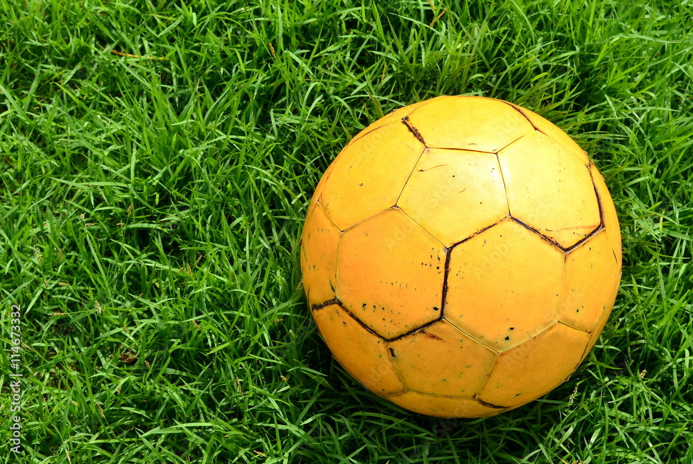 Fototapeta premium Yellow football on the lawn in evenig day,sport activity,recreation.