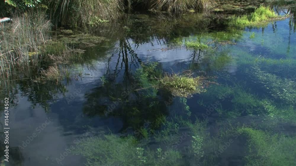 Lake Pupu springs at the westcoast, New-Zealand Lake Pupu springs at the westcoast, New-Zealand