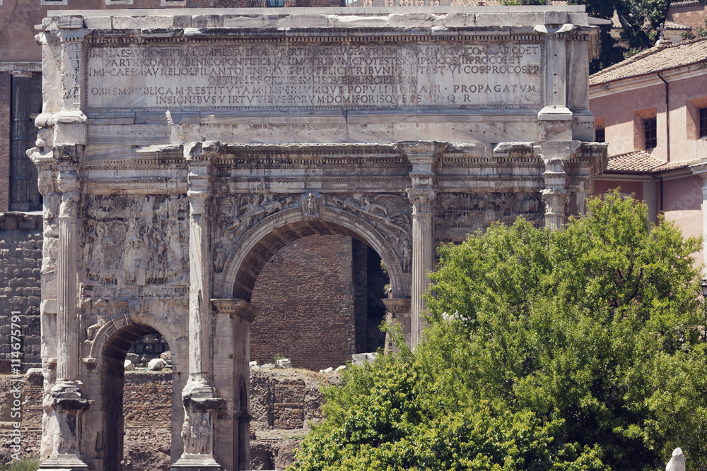 Obraz premium Frontal view of the arch of Septimius Severus