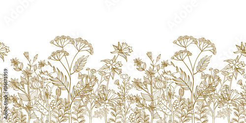 Seamless vector floral border with black white hand drawn herbs and wild flowers. Pattern endless with blossom flowers. Floral seamless border with flowers illustration photo