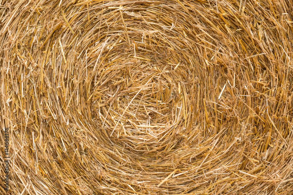 Background of yellow straw roll texture. Background of yellow straw roll texture.