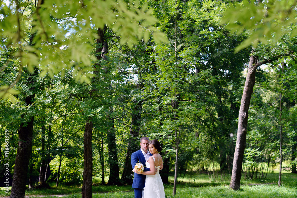 Wedding couple on the nature is hugging each other. Beautiful model girl in white dress. Man in suit. Beauty bride with groom. Female and male portrait. Woman with lace veil. Lady and guy outdoors Wedding couple on the nature is hugging each other. Beautiful model girl in white dress. Man in suit. Beauty bride with groom. Female and male portrait. Woman with lace veil. Lady and guy outdoors