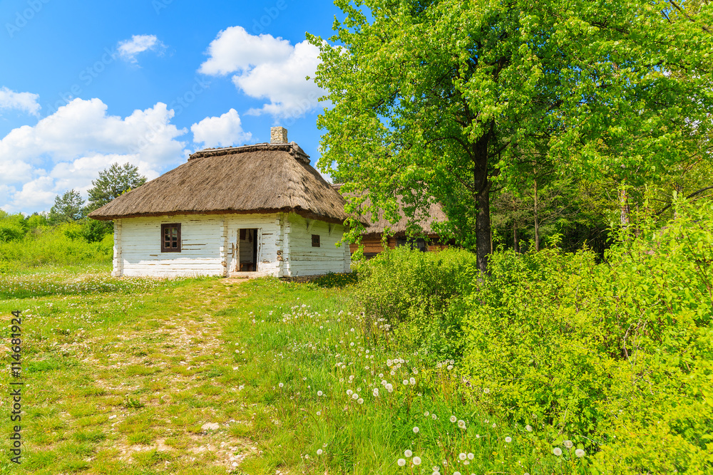 An old rustic cottage house on green meadow in open air museum in Tokarnia village, Poland