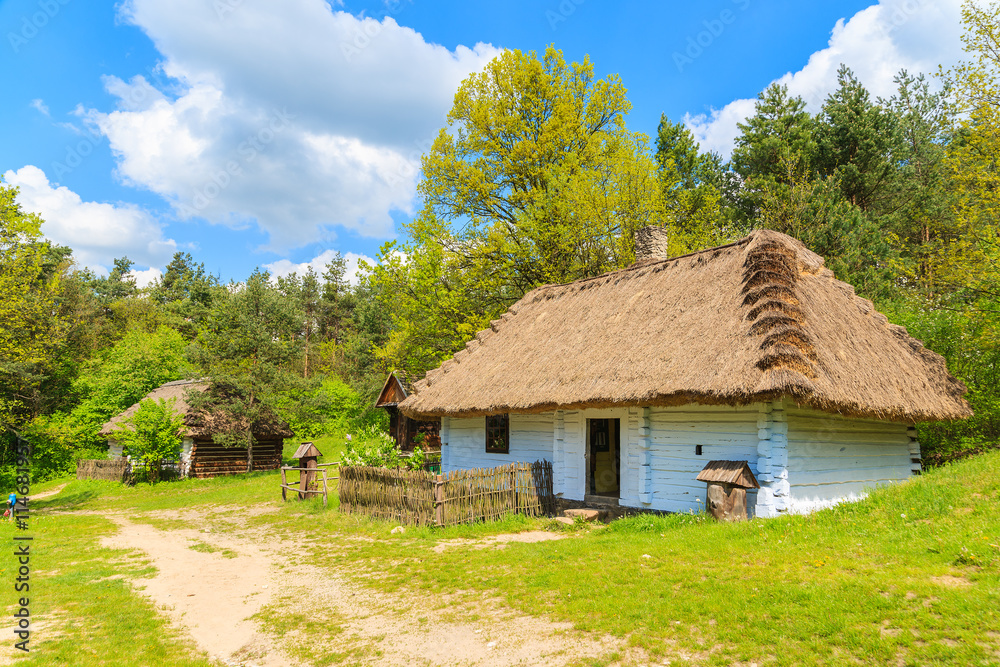 An old rustic cottage house on green meadow in open air museum in Tokarnia village, Poland