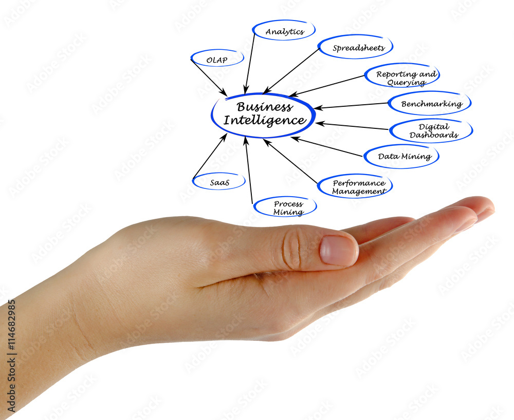 Obraz premium Diagram of Business Intelligence