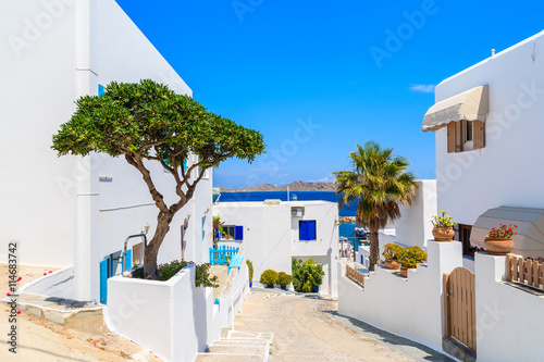 Typical street with houses in Naoussa town, Paros island, Cyclades, Greece