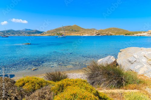 Spring flowers in beautiful Monastiri bay with turquoise sea water, Paros island, Greece photo