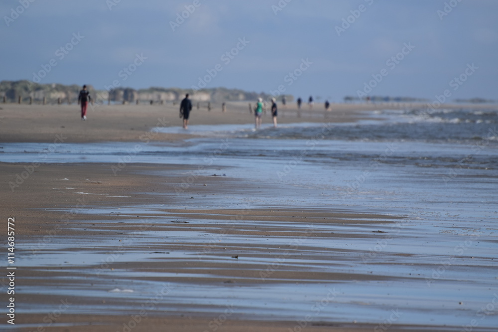 Nordseeküste im Fokus, Momente am Meer, im Watt, am Deich Nordseeküste im Fokus, Momente am Meer, im Watt, am Deich