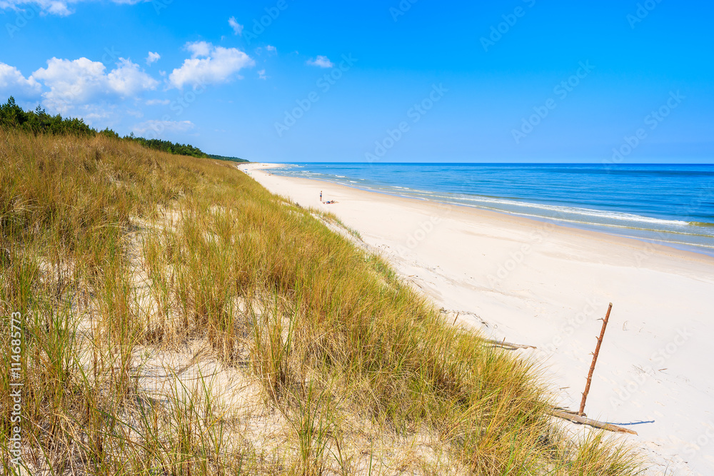 A view of beach and grass on sand dune in Lubiatowo coastal village, Baltic Sea, Poland A view of beach and grass on sand dune in Lubiatowo coastal village, Baltic Sea, Poland