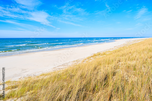 A view of beautiful beach grass on sand dune at Baltic Sea, Bialogora coastal village, Poland