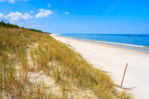 Fototapeta Naklejka Na Ścianę i Meble -  A view of beach and grass on sand dune in Lubiatowo coastal village, Baltic Sea, Poland