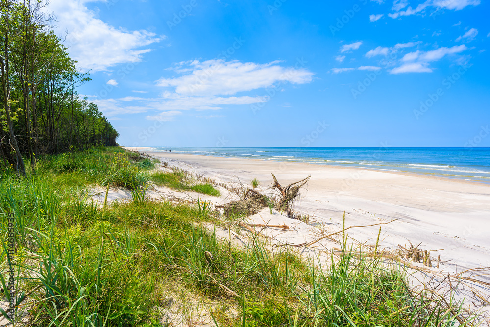 A view of white sand beach and green trees on sand dune at Baltic Sea, Bialogora coastal village, Poland