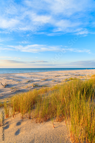 Grass on sand dunes at sunset time on a beach in Leba, Baltic Sea, Poland