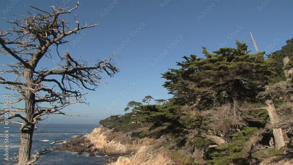 Westcoast, California, United States Westcoast, California, United States