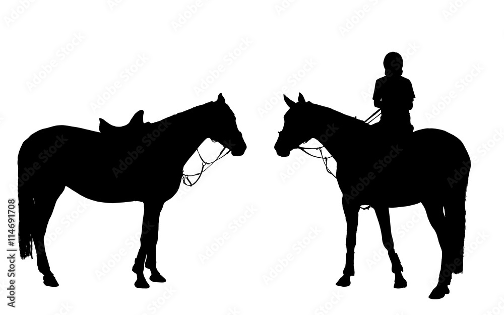 vector man on horseback isolated white background