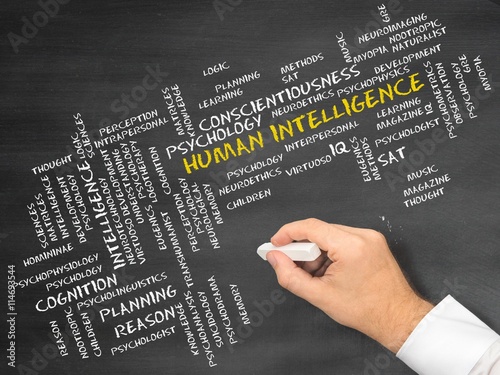 Human intelligence