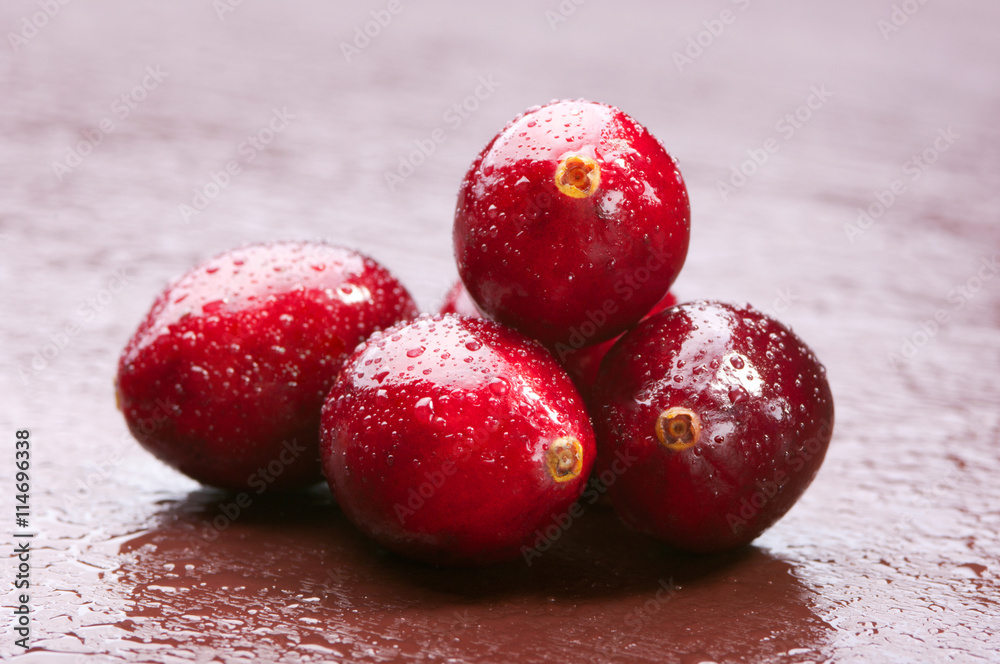 Wet fresh wild cranberries. Studio shoot. Wet fresh wild cranberries. Studio shoot.