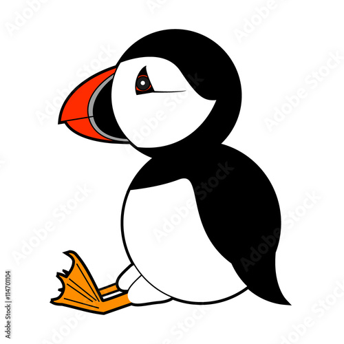 puffin vector illustration on white background