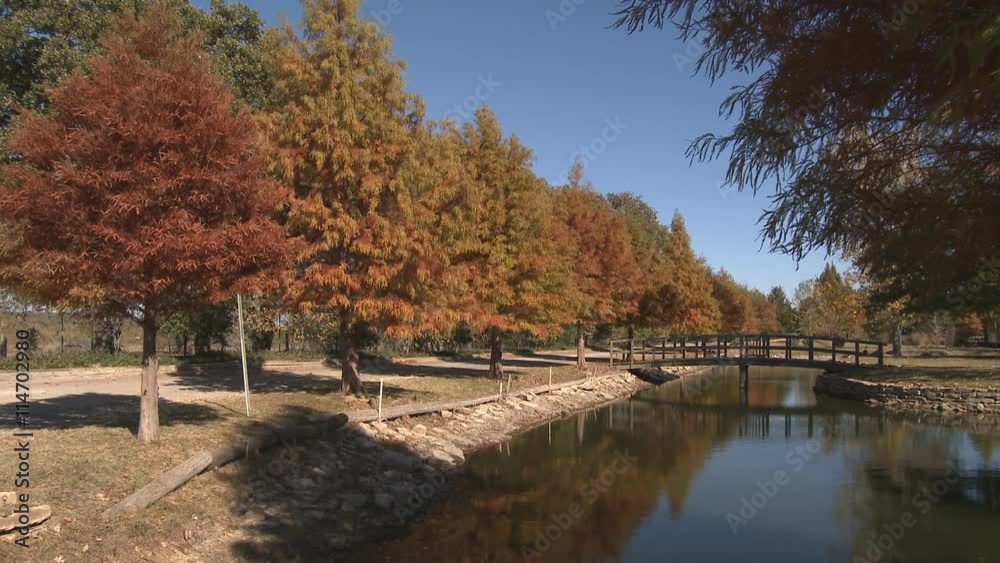 Autumn trees lining a stream bank in a park-like setting Autumn trees lining a stream bank in a park-like setting