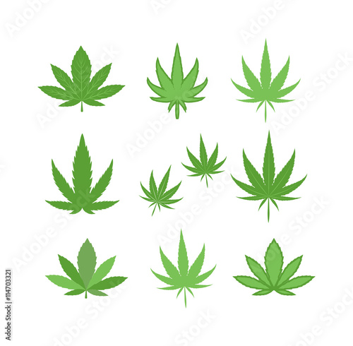 Cannabis marijuana hemp leaf flat icon vector green medicine weed vector herb. Addiction medical narcotic cannabis marijuana leaf. Nature symbol illegal hashish ganja cannabis marijuana leaf.