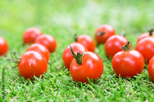 some small tomatoes on the grass