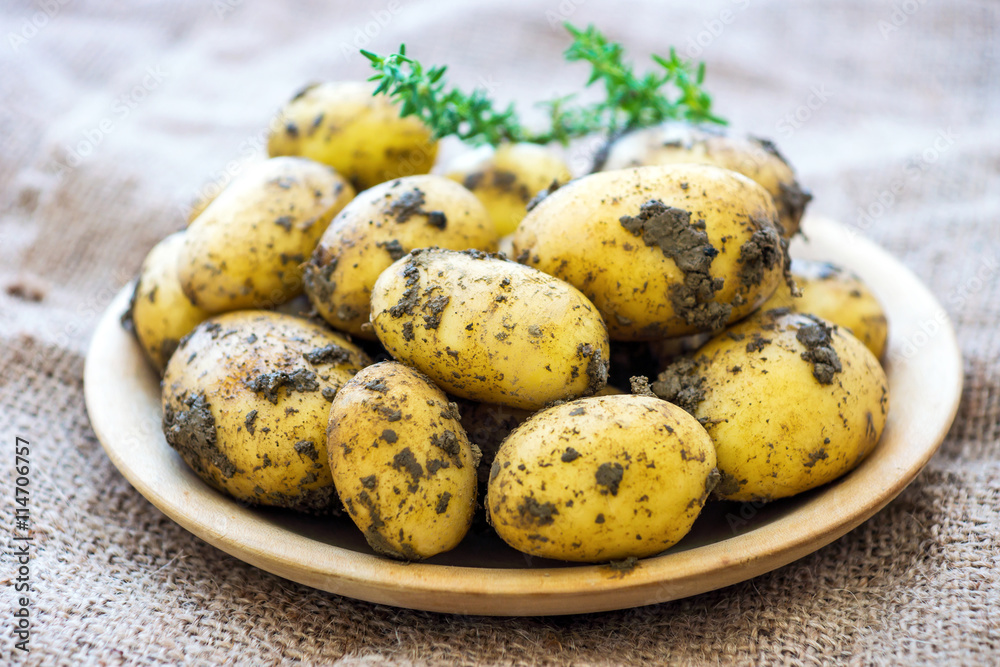 Raw Organic  Potatoes