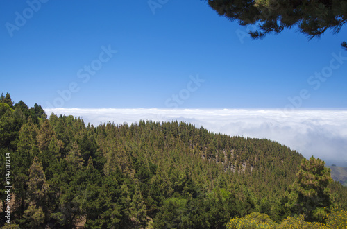 Inland Central Gran Canaria, Las Cumbres, highest areas of the i