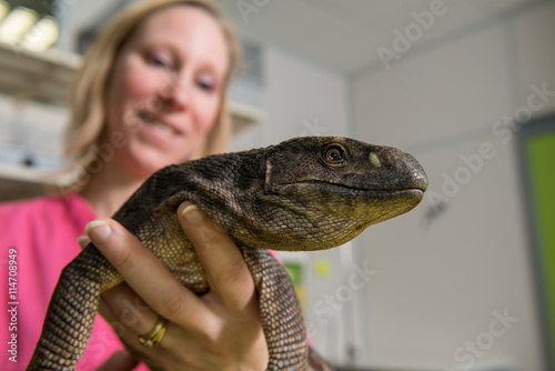 La consultation vétérinaire pour les nacs, varans, les lapins et les tortues est très importante et repose sur une observation précise photo