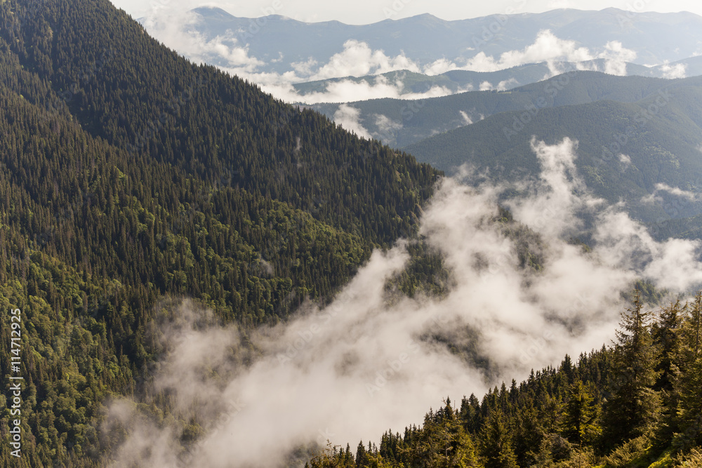 scenic view of mountain forests covering by fog scenic view of mountain forests covering by fog