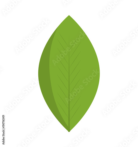 Nature plant concept represented by leaf icon. isolated and flat illustration 