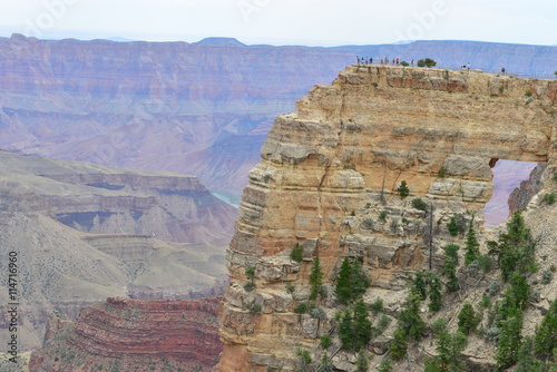 The North Rim of the Grand Canyon in June. 