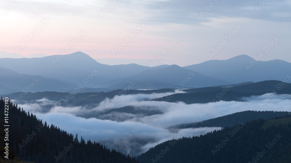 scenic view of mountain forests covering by fog