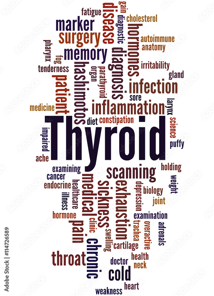 Obraz premium Thyroid, word cloud concept 2