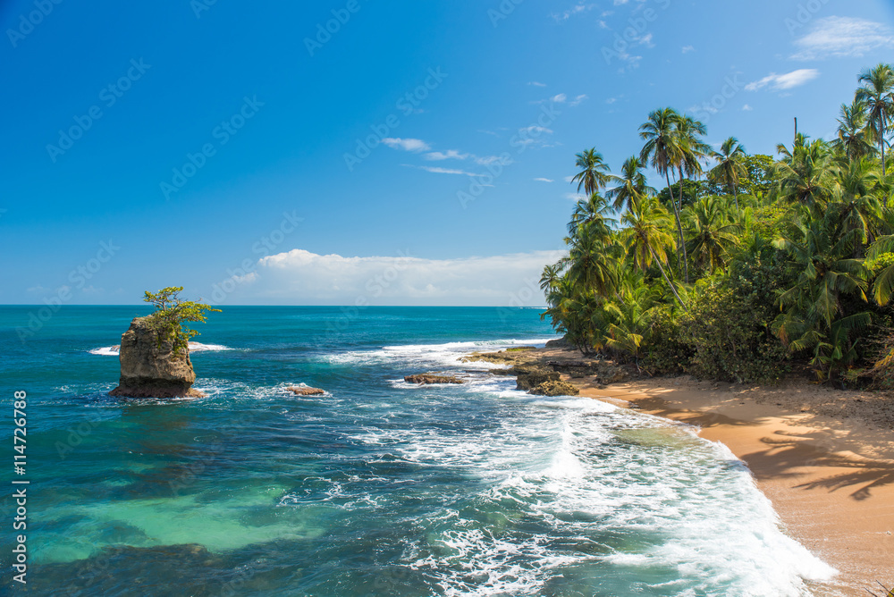 Fototapeta premium Wild caribbean beach of Manzanillo at Puerto Viejo, Costa Rica