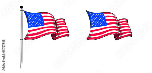 Vector of American Flag Fly 