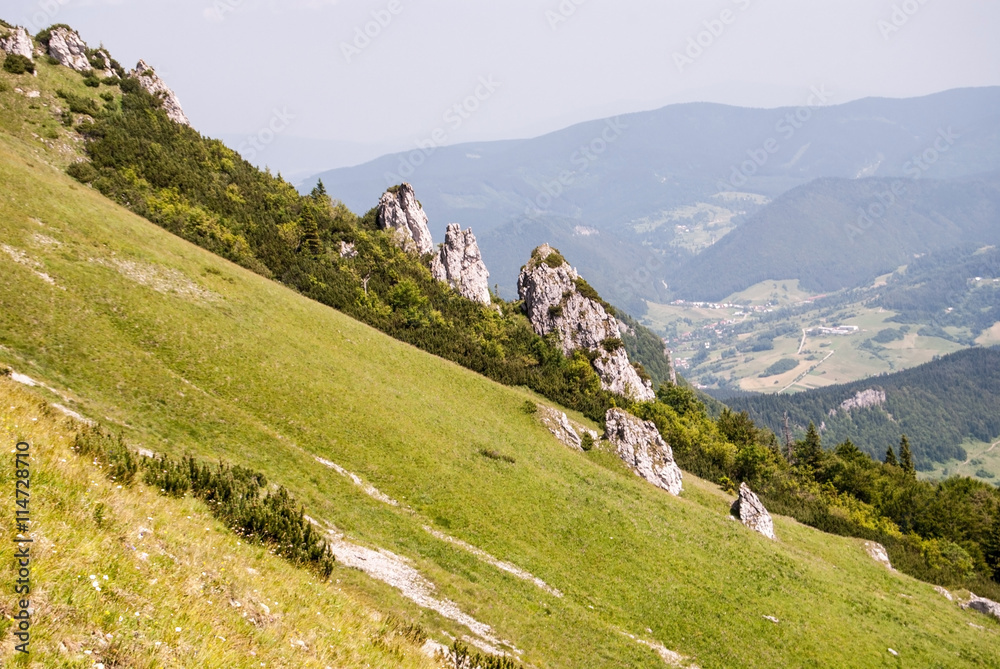 Obraz premium mountain meadow with dolomitian rocks on Velky Rozsutec hill in Mala Fatra mountains