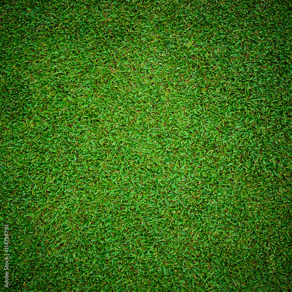 Obraz premium Beautiful green grass pattern from golf course