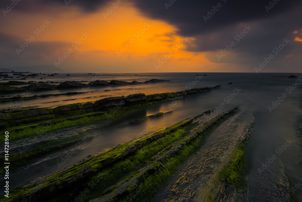 Green moss on the stones, Barrika beach sunset Green moss on the stones, Barrika beach sunset