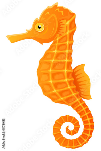 Vector illustration of an orange and yellow seahorse.