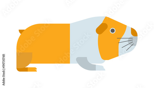 Guinea pig on white background. Cute vector rodent mammal brown small domestic guinea pig. Adorable fur portrait funny guinea pig. Cavy animal character small hamster adorable guinea pig.
