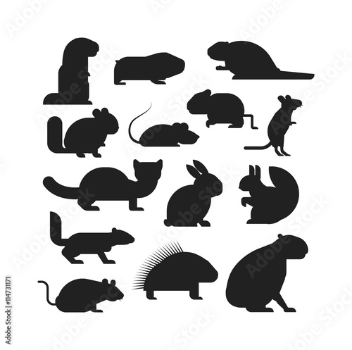Cute cartoon rodents animals, mouse cartoon in action set, with nine different cartoon rodents standing animals confident. Cartoon rodents mammal nature, mouse character, wildlife rat set.