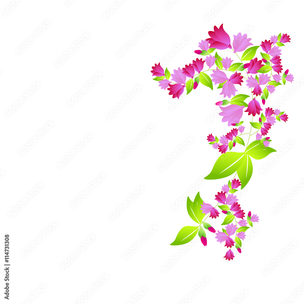 flowers flowers