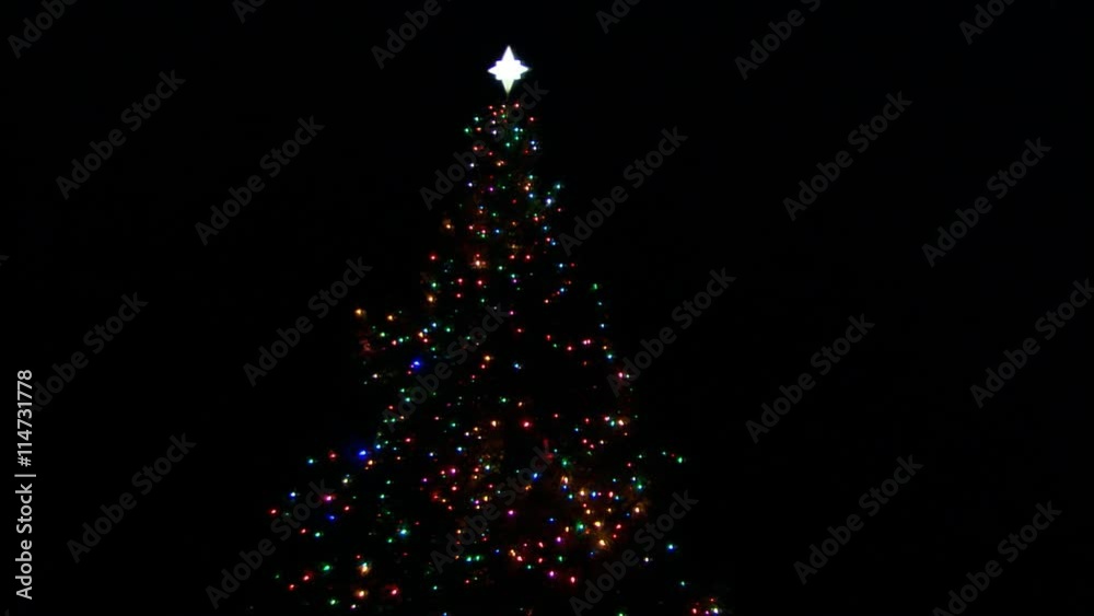 A lighted outdoor Christmas tree at night
