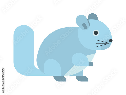 Young squirrel cute little wild animal funny rodent. Fluffy nature vertebrate squirrel isolated animal. American paw vector tail adorable squirrel isolated domestic pretty carolinensis.