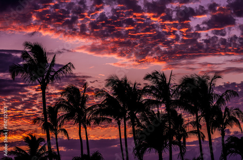 clouds at sunset with palm trees